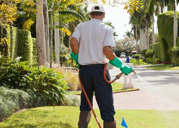 About Hepler KS Pest Control